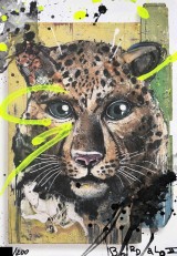 Leopard Special Edition HPM